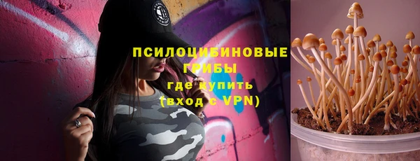 spice Вязники