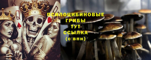 ALPHA-PVP Вязьма
